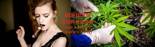 дживик Богородицк