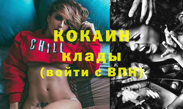 дживик Богородицк
