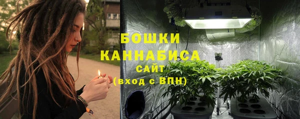 дживик Богородицк