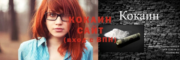 дживик Богородицк