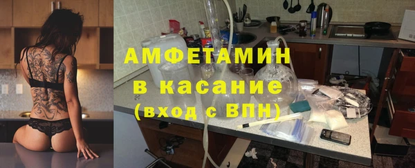 прущие грибы Сафоново